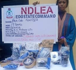 NDLEA arrests influencer over online sale of cannabis-laden cookies