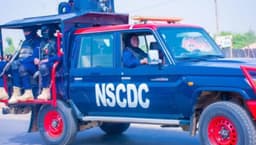 Fresh scandal rocks Yobe NSCDC as herder alleges multi-million naira extortion by Agro Rangers Commander