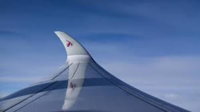 Airline cancels all domestic flights after one of its planes hit by gunfire