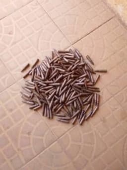 Police find 210 rounds of ammunition on Zaria-Funtua Highway