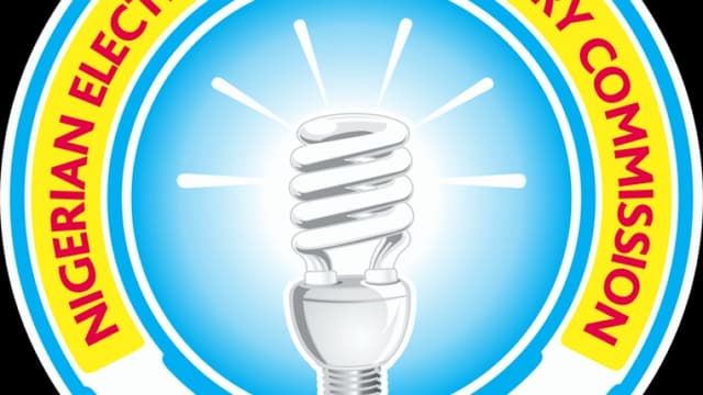 Leadership vacuum leaves NERC in limbo, threatens gains in power sector