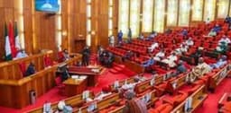 Senate backs mandatory two-year apprenticeship for law graduates
