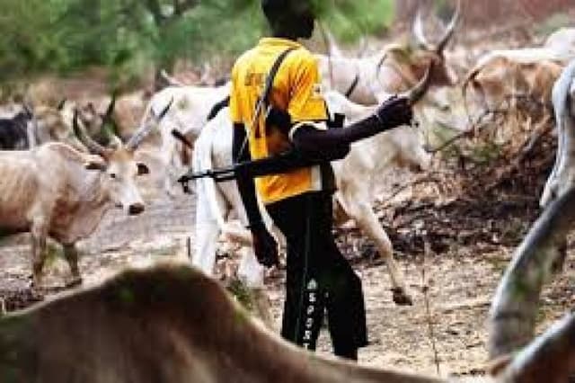 Herder to die by hanging for killing fellow in Borno