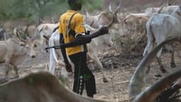 NSCDC confirms killing of two farmers, arson in Jigawa community