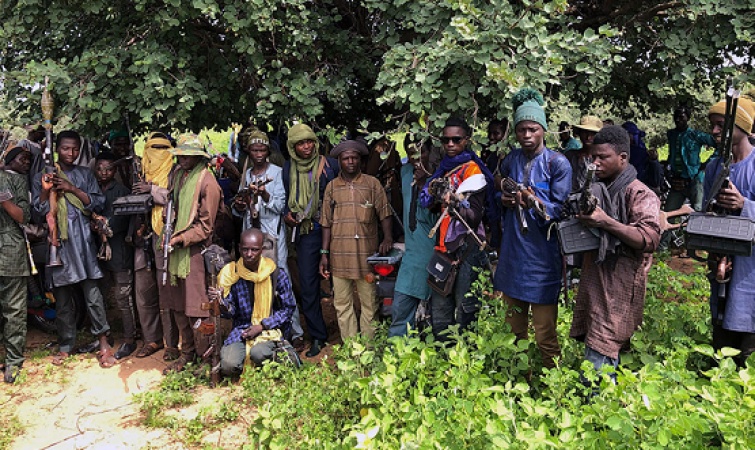 10 livestock shot dead, 12 injured in attack on Fulani in Gero village as another reprisal in Plateau