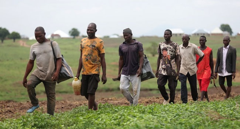 Senate urges emergency support for farmers amid collapse of produce prices