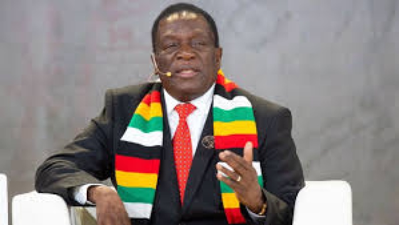 Zimbabwe orders foreign businesses in certain sectors to hand over control to locals in 3 years