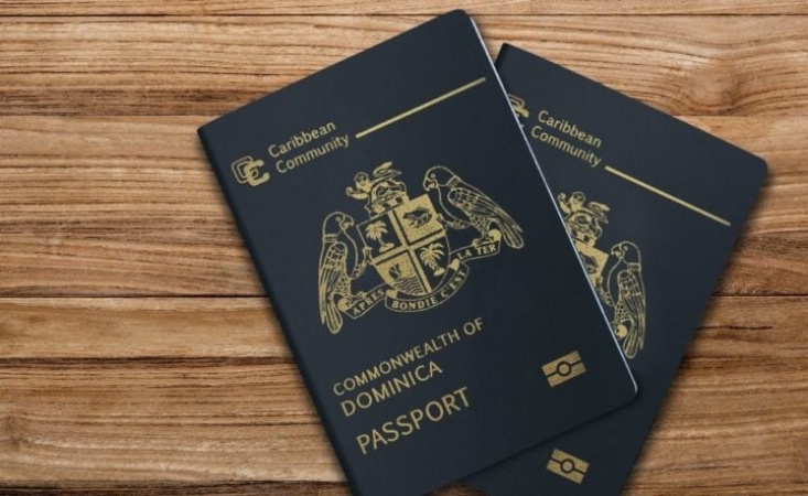Nigerians with Caribbean passports face double setback under US travel restrictions