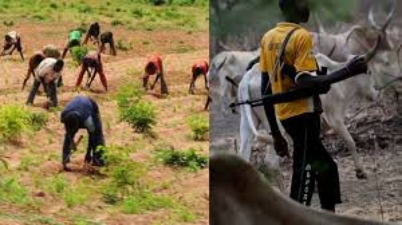 Fear grips Delta community as suspected herdsman attacks farmer on farmland 