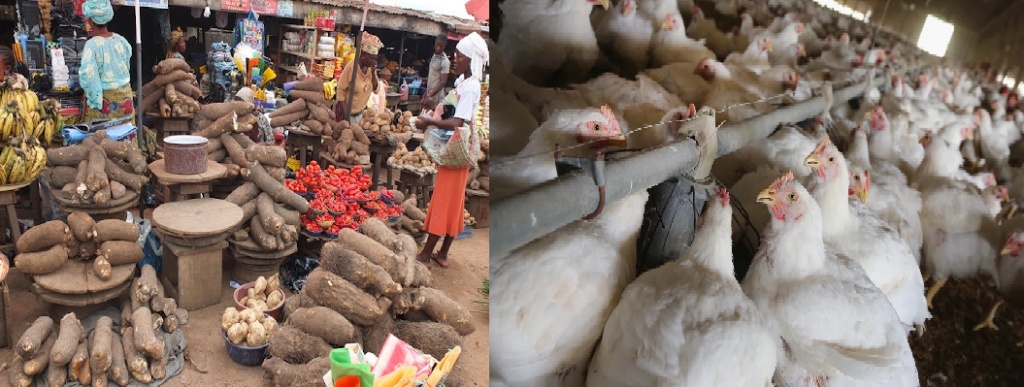 Xmas in displacement: ‘We once slaughtered 45 cows, now can’t buy chicken’