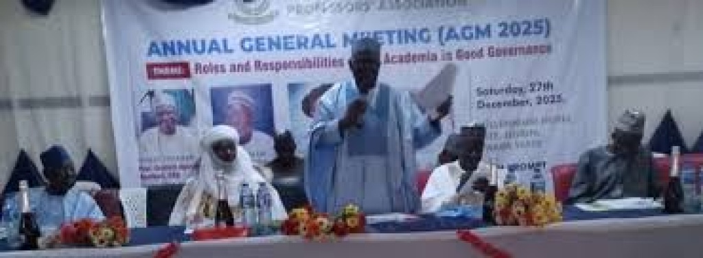 Gambari urges meritocracy as solution to Nigeria’s challenges