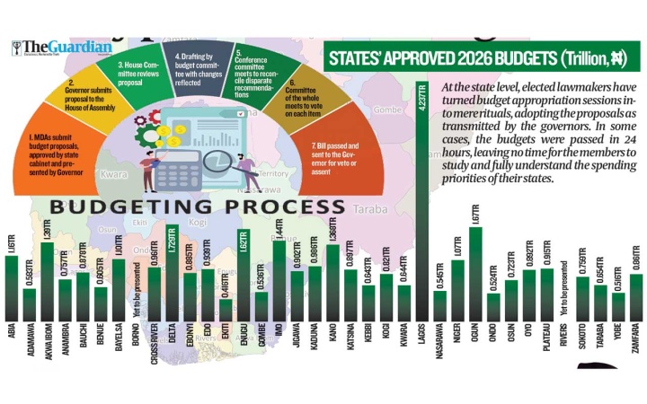 Oversight concerns as Assemblies hastily pass N34.63tr budgets