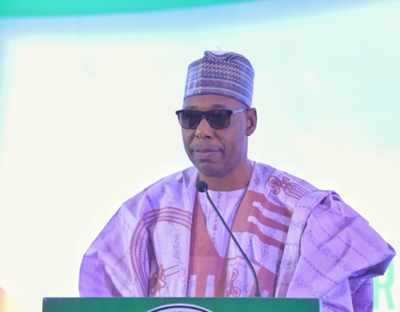 Zulum announces 100% raise in rural allowances for doctors, nurses