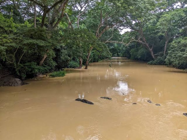 Urban Alert warns against drinking untreated Osun River water