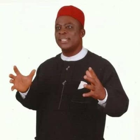 Obi's defection to ADC good for national integration — Obiechina