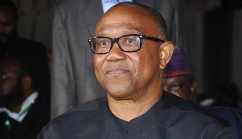 Peter Obi will complete South’s term, return power to North in 2031 — Tanko