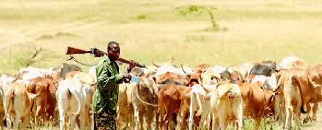 Herder shot dead in Plateau community
