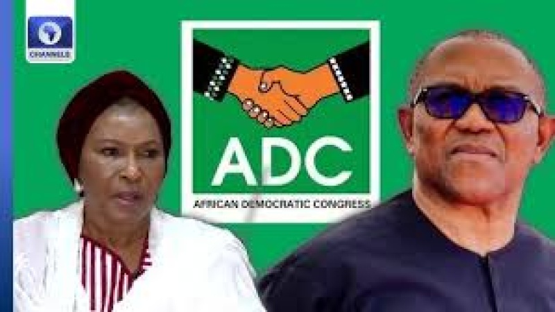 I’ll work for Obi, any candidate who wins ADC Presidential ticket — Sen. Ireti Kingibe