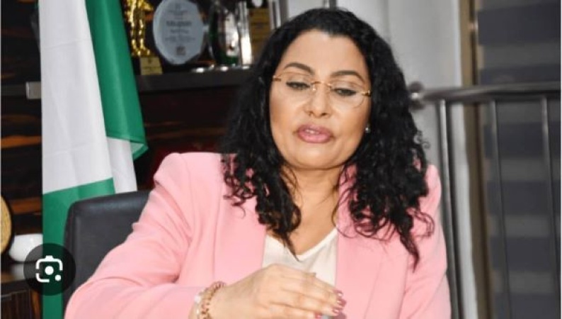 FG to roll out Niger-style farm settlements nationwide