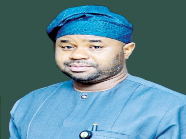 No provision in the law taxes the poor; food, transport are tax-free —NRS chairman, Adedeji