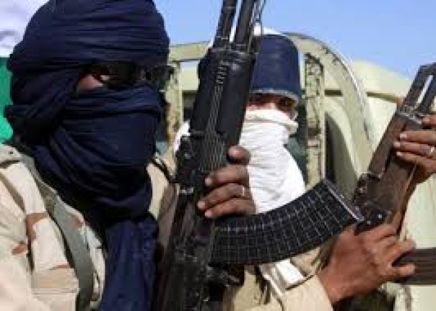 Over 500 cattle rustled as bandits raid Zamfara market