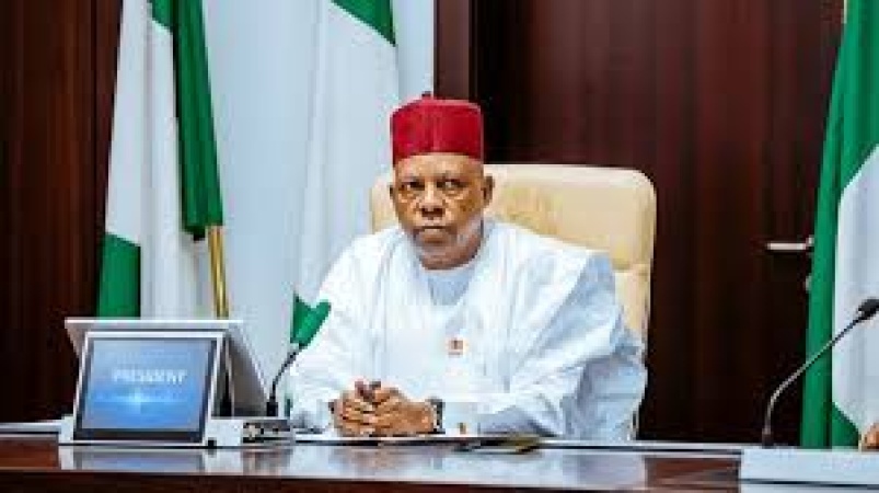 NEC targets non-oil revenue expansion, sets up panel on Tinubu’s legacy projects