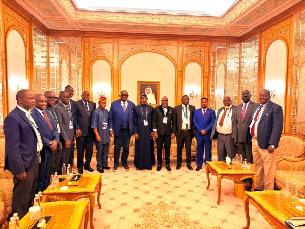 African Ministers of Minerals re-elect Alake as Strategy Group Chairman