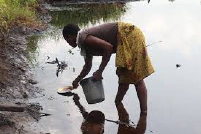 Fishes, periwinkles from Ogoni waters spread cancer — Report