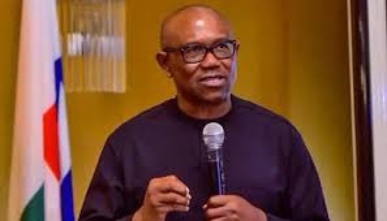 Peter Obi: I don’t own land or house in Abuja