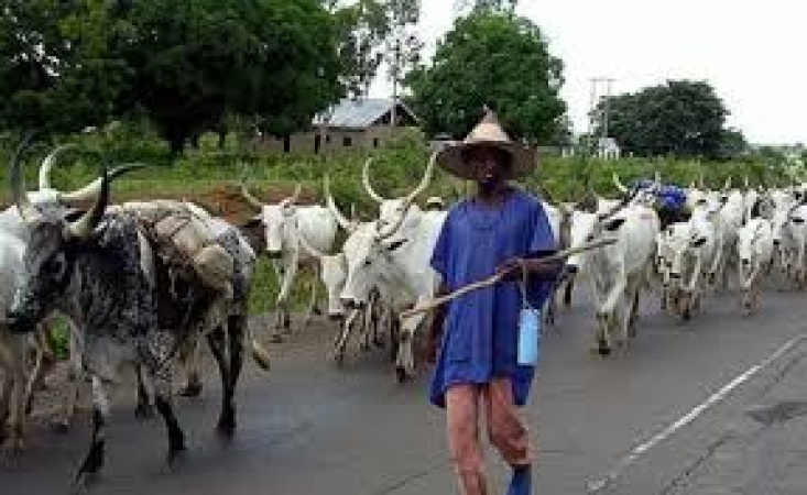 Court jails nine herders for farmland destruction, breach of peace