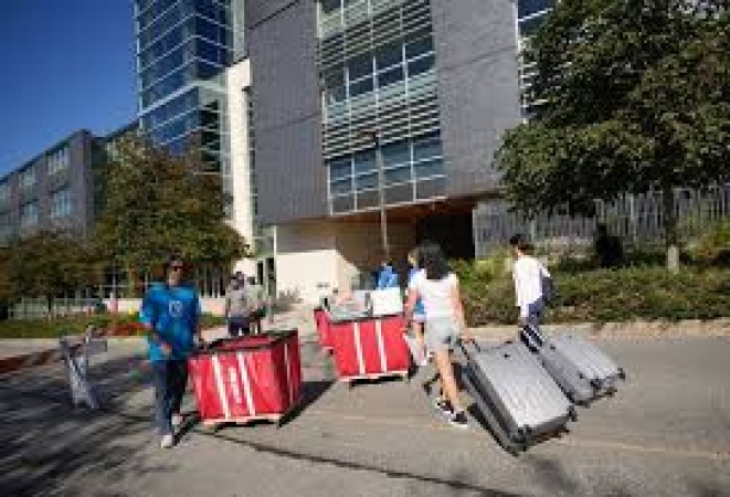 New international student arrivals in Canada plunge 97% in two years