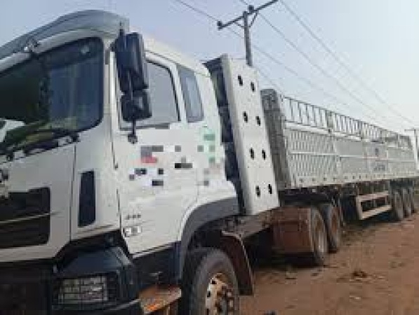 Police arrest eight armed robbery suspects in Ogun