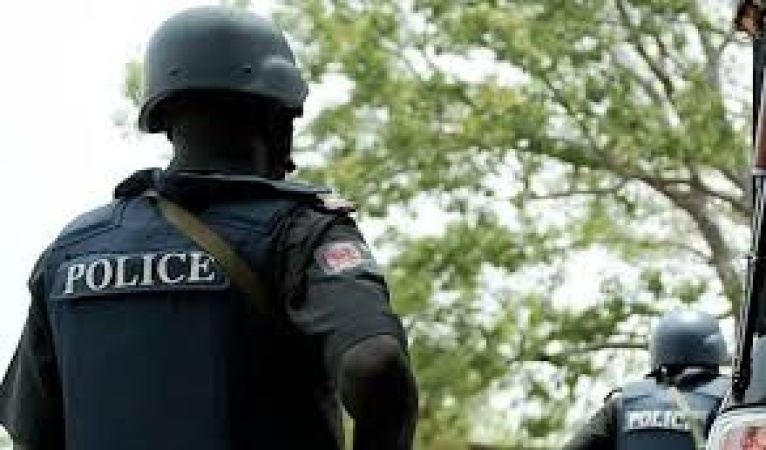 Police nab 7 suspected illicit drugs peddlers in Delta