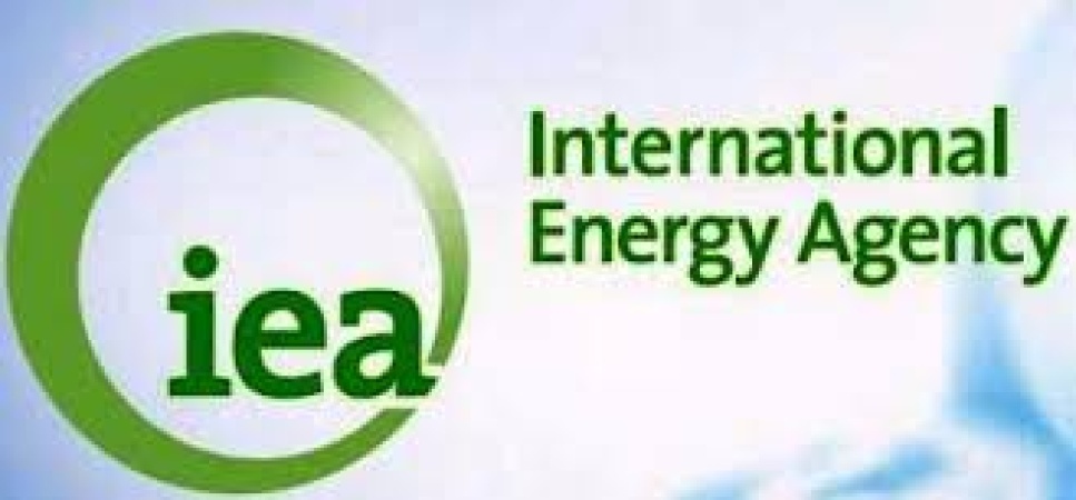 Nigeria’s crude oil output already at its maximum sustainable level, no buffer for supply shocks — IEA