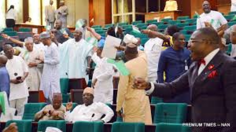 Altered gazetted tax law tears House of Reps apart