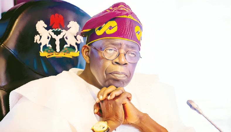 Nigeria’s new economic model under Tinubu to drive higher GDP figures — IMPI