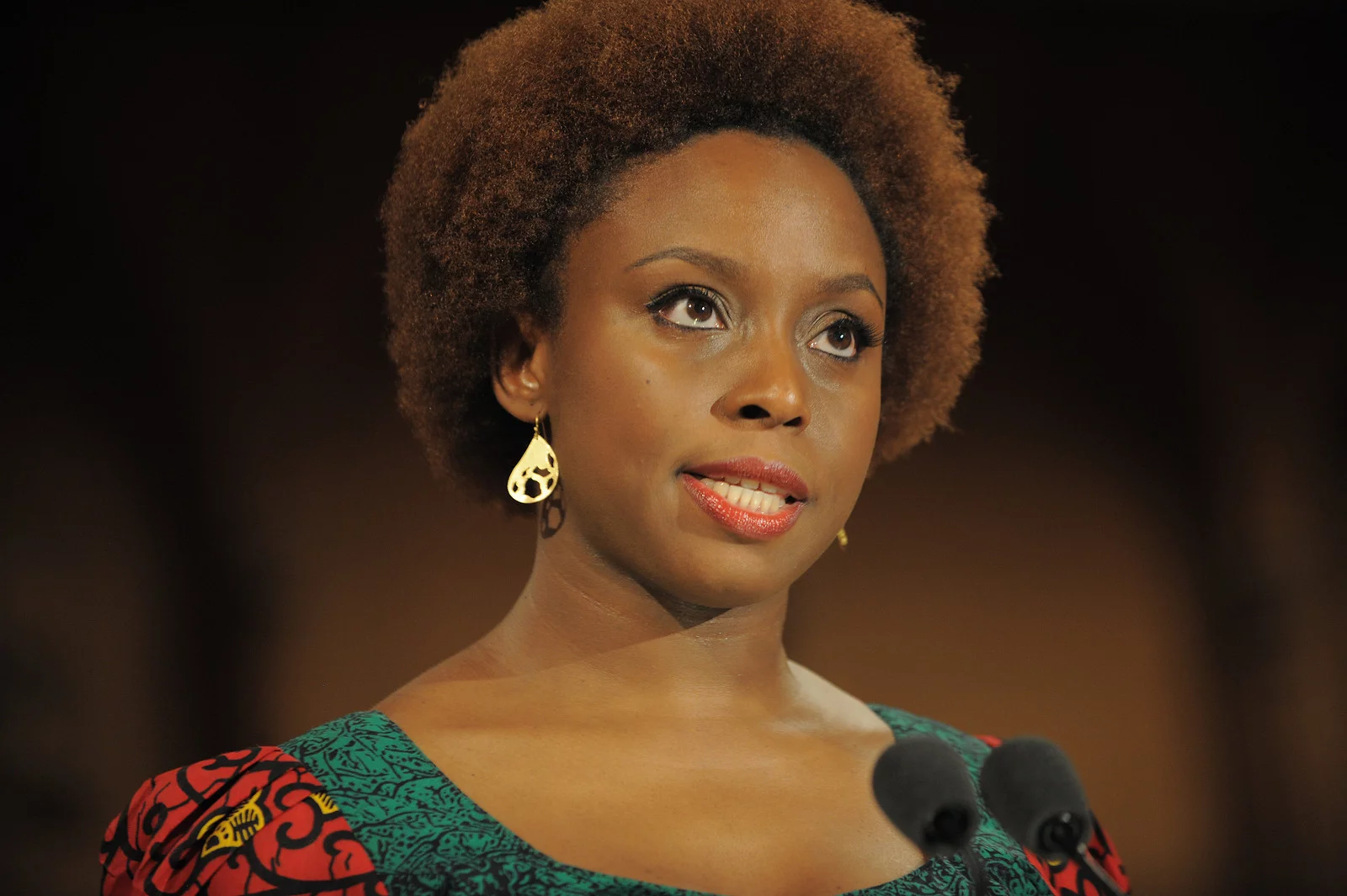 Death of Chimamanda’s son heartbreaking — Ohanaeze