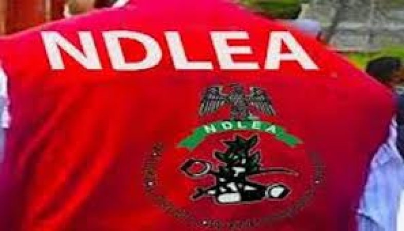 Anambra NDLEA Boss raises alarm over rising hard drug abuse among youths