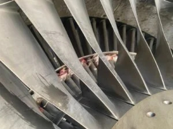 Flights grounded as United Nigeria Airlines suffers two bird strikes in 24 hours