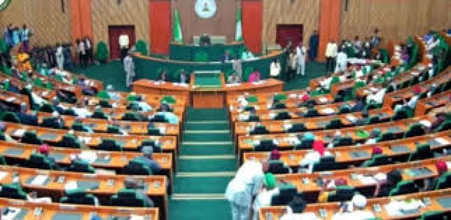 Electoral Act: House of Reps apologises to protesters tear-gassed at National Assembly