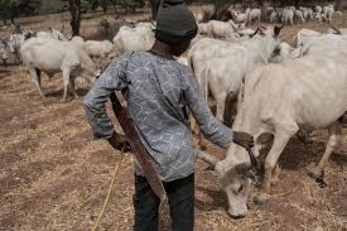 Teenage herders killed in fresh Plateau attack