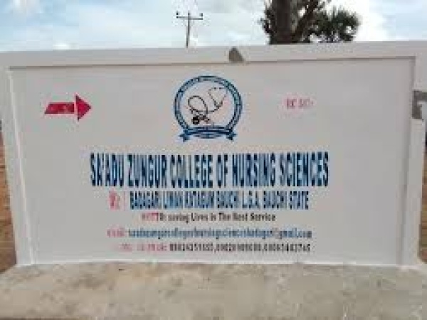 Armed robbers attack Nursing College, dispossess students of valuables