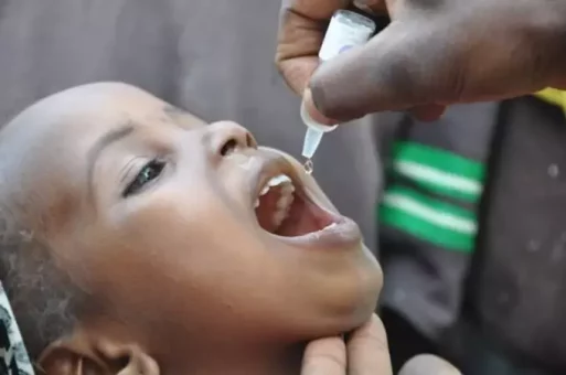 Insurgency denying children immunisation in North East, says ex-Reps member 