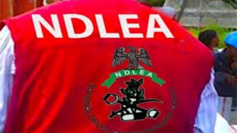 NDLEA intercepts Togolese woman with 5,000 Tramadol pills, nabs 6 others