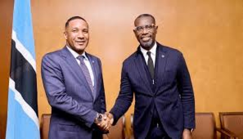 Botswana President appoints Akinwole II Omoboriowo as vice chairman of Botswana power corporation’s Board of Directors