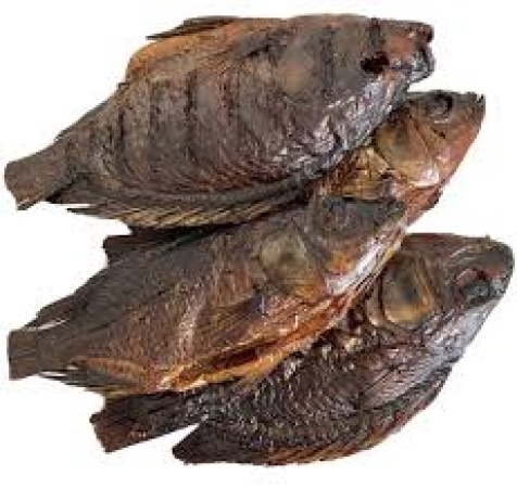 Smoked tilapia sold at Minna market contaminated with disease-causing germs — Study