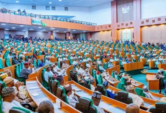 Reps prescribe 2-year jail term, 10m fine for dual party membership