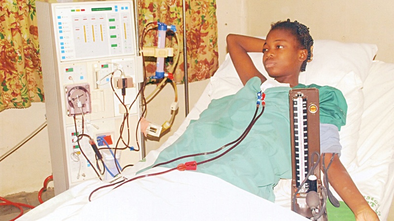 Expert decries kidney treatment cost