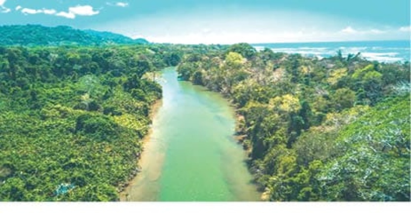 Inside Nigeria’s goldmines turned sanctuaries of criminals