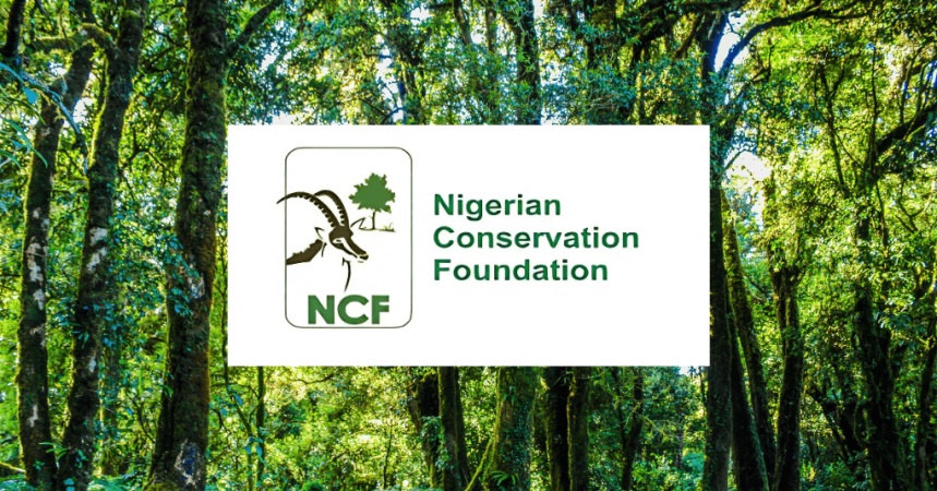 Nigeria loses nearly 90 per cent of forest cover in 3 decades — NCF